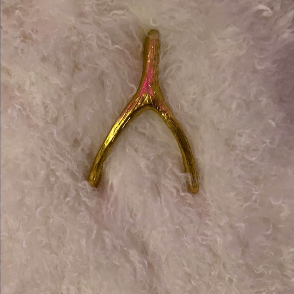 gold wish bone